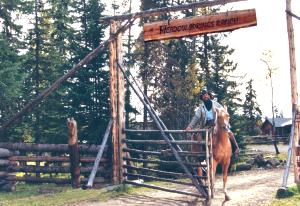 The main gate at Meadow Springs Ranch