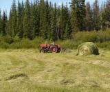 Haying out at the Meadow Springs Ranch hay lease